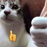 最陰暗的那群溝鼠