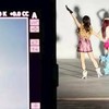 ベビモンの好きな相談