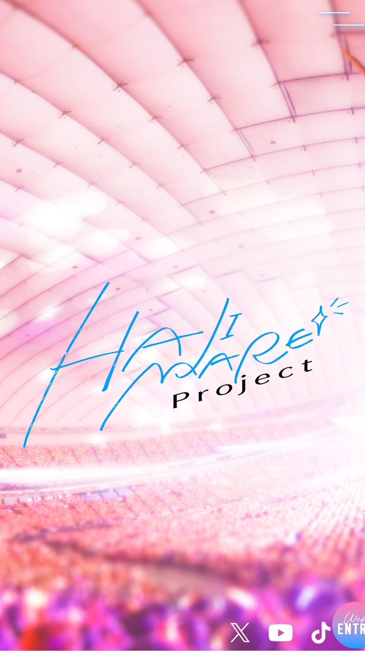 HAJIMARE Project応募する方