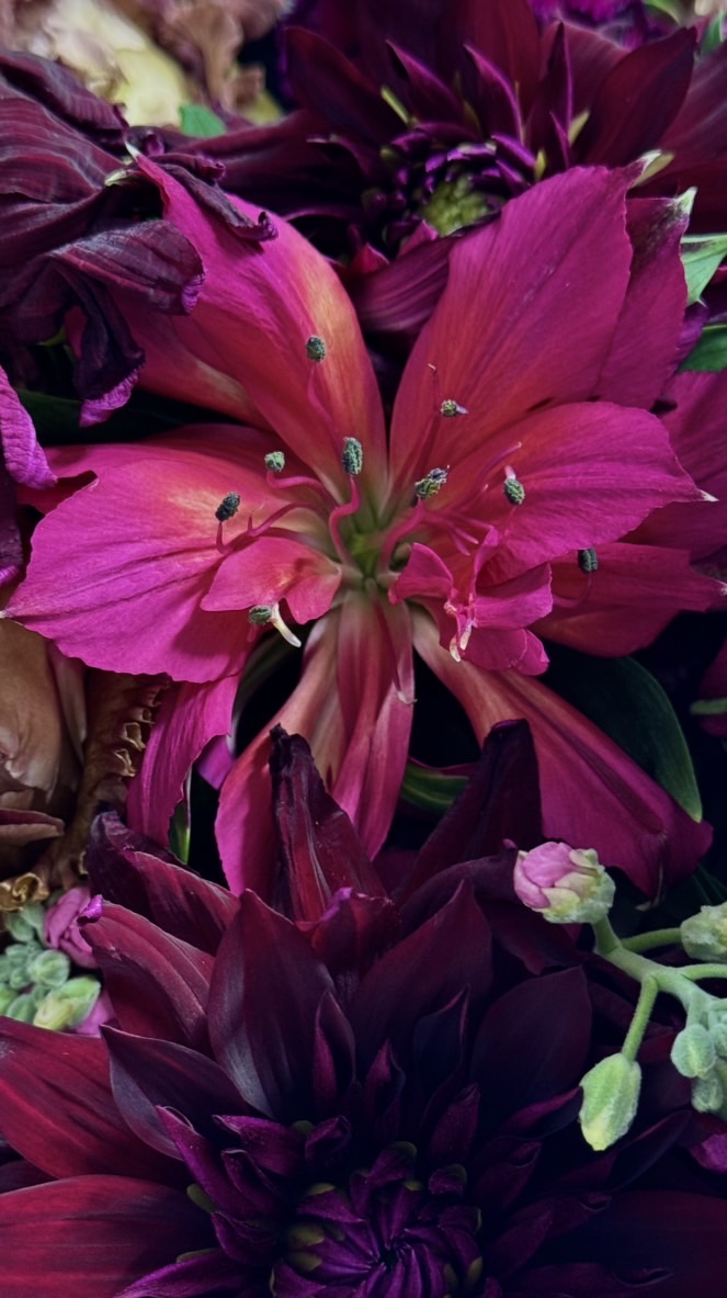 ブックライター交流会