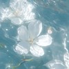 キミはともだち：特殊時制全緩夢ハント