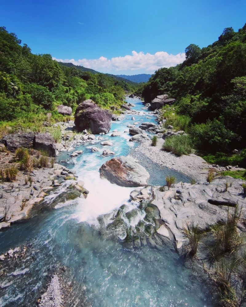 花蓮景點｜富源森林遊樂區｜富源吊橋｜親子景點｜花蓮走春景點