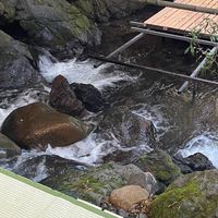 50代60代からのみんなで楽しむ部屋🌷