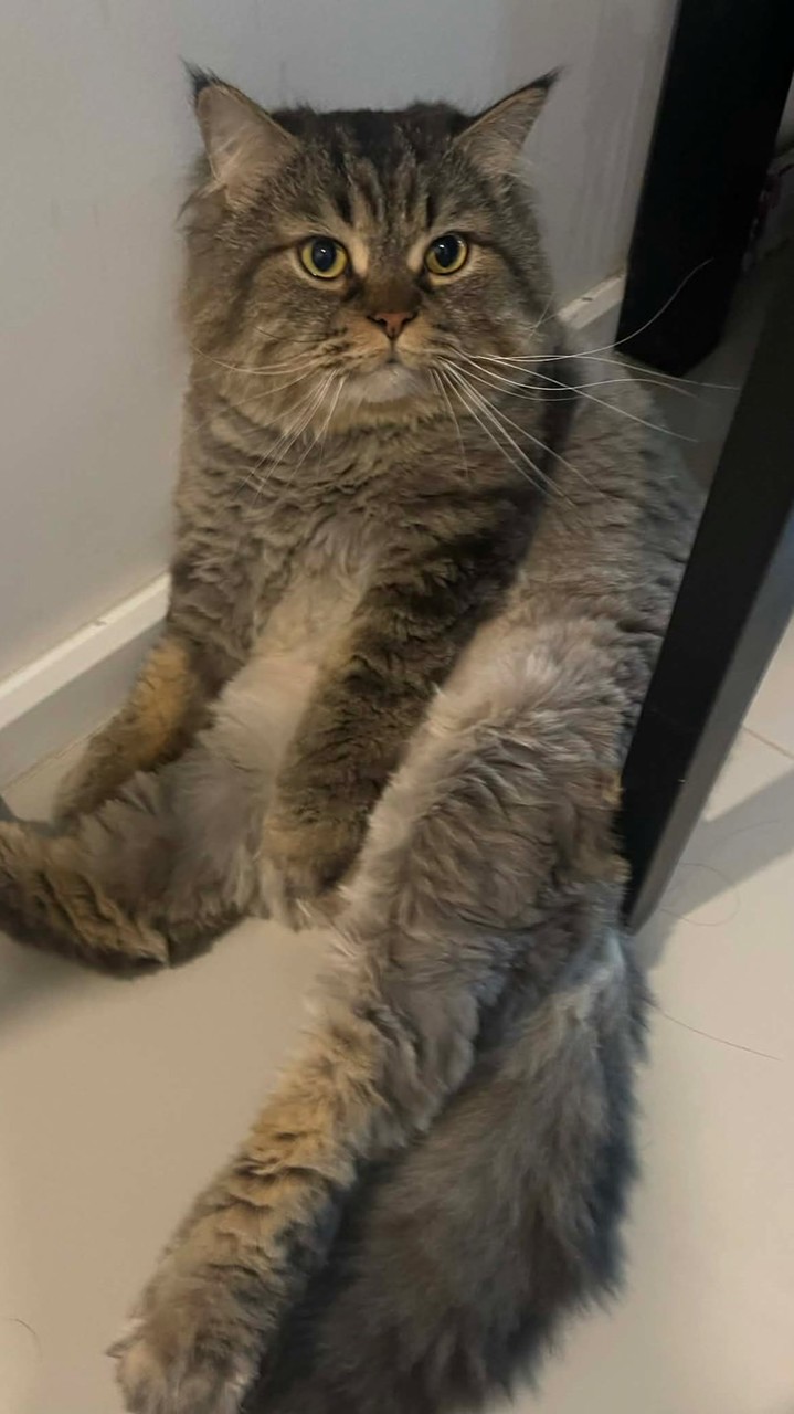 กลุ่มเพื่อนอุอิอาาา