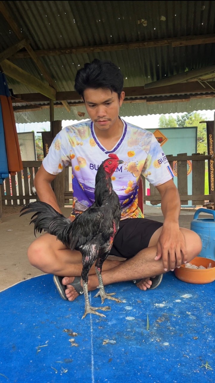 ซุ้ม.ข่อยงาม