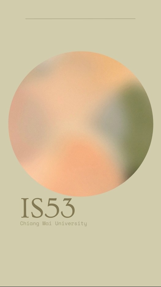 IS53