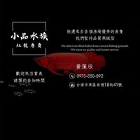 小品專業龍魚-水族交流