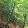 9/15.武陵農場.桃山瀑布自由行