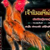 ซุ้มไก่ชน อนุรักษ์ฟาร์ม ก๋อยสโล่ พม่าไอคิว