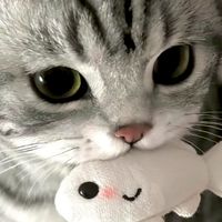 哥布林部落