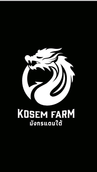 ฟุตบอลเงินแสน KOSEM FARM
