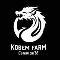 ฟุตบอลเงินแสน KOSEM FARM