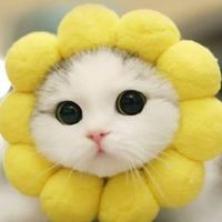 ทาสแมว~  :3