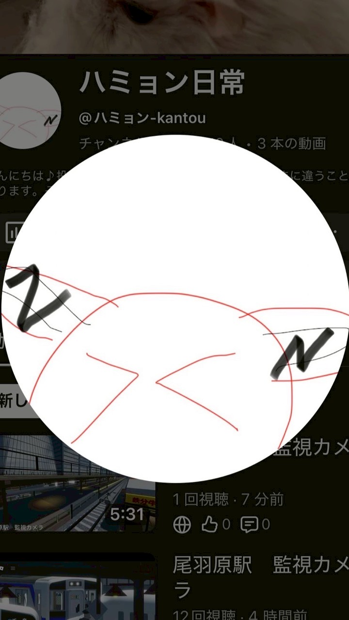 ハミョン日常　公式