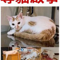 請幫妹妹找回家的路