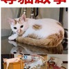 請幫妹妹找回家的路