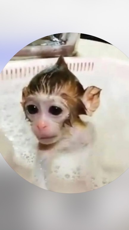 คริปหลุด