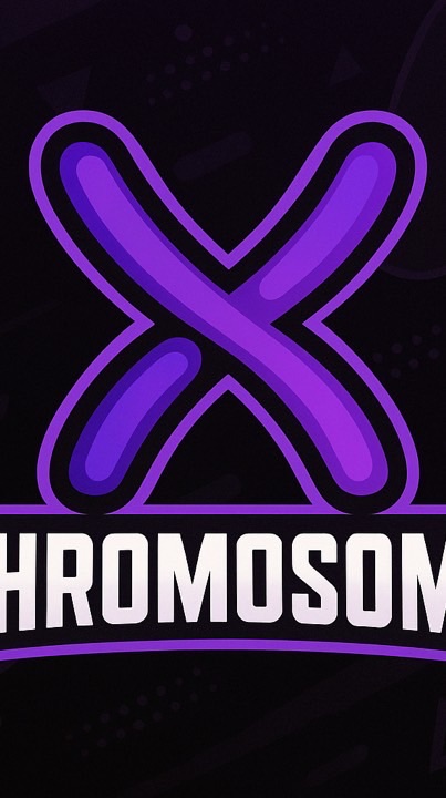 Chromosome XY
