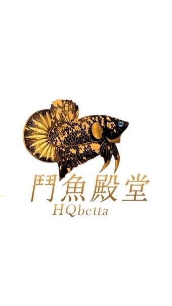 鬥魚殿堂-H.Q Betta