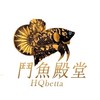 鬥魚殿堂-H.Q Betta