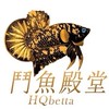 鬥魚殿堂 H.Q Betta