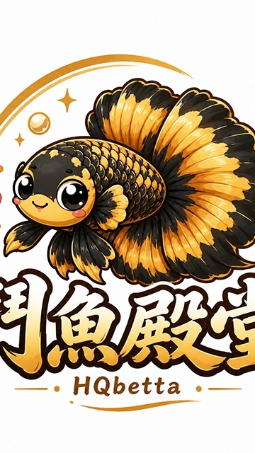 鬥魚殿堂-H.Q Betta