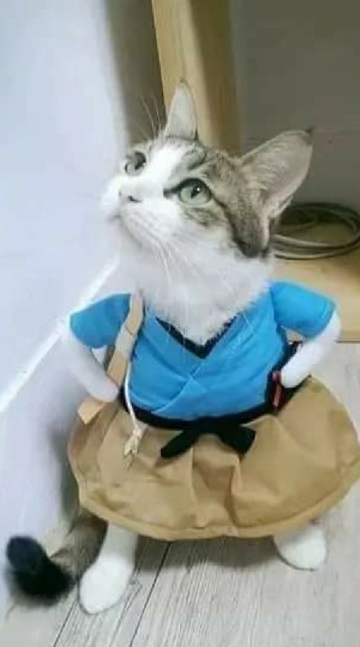 เพื่อนๆป.5