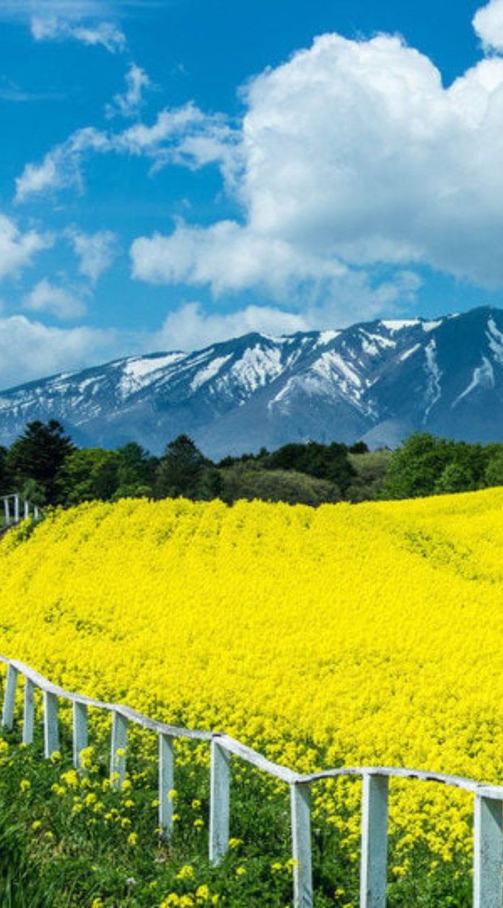 芸能人なりきり(恋愛あり)