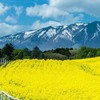 芸能人なりきり(恋愛あり)