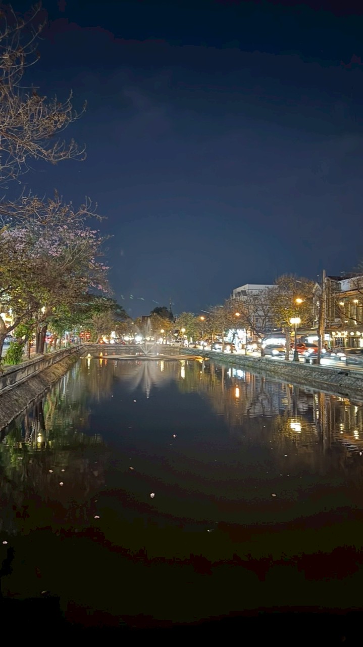 東海新興路3巷13號社區公告群🪧