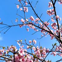 大淀中 昭和40年度生まれ同窓会
