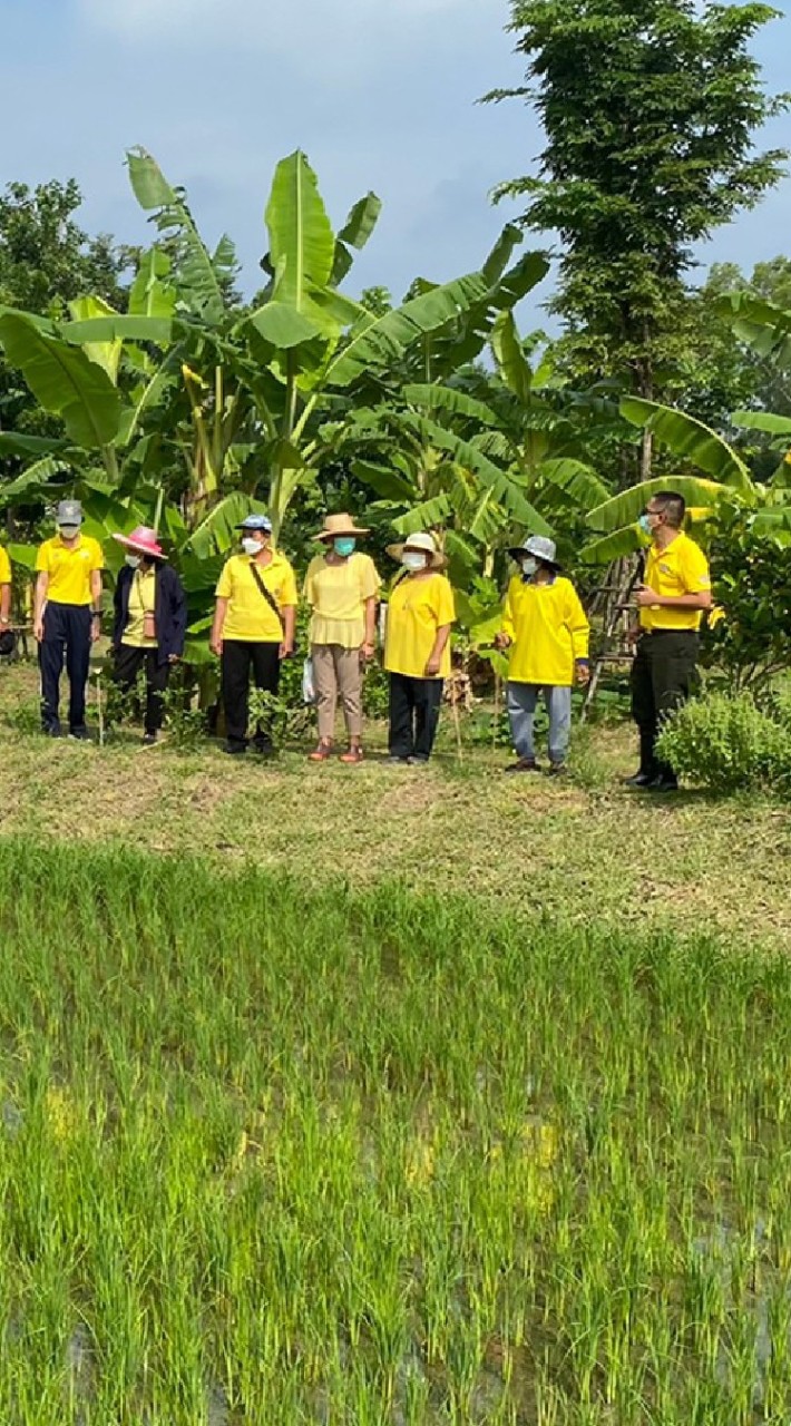 โครงการฯ โคก หนอง นา นิคมฯ บางไทร