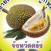 เครือข่ายฯทุเรียนตรัง