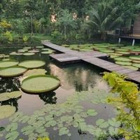 โคกหนองนา/ขุดสระ/ถมที่/เช่ารถทุกชนิด