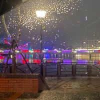 雙火撩命-「命-運-道-應爻」-八字/占卦/規劃