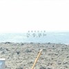 Kpopカッコウガーガー