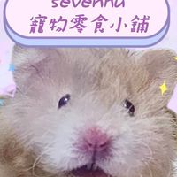 sevenhu 倉鼠零食飼料小鋪