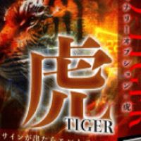 BO-TIGER