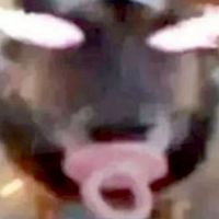 第三帝国