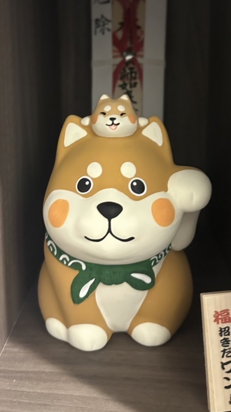 洋洋媽咪日本代購