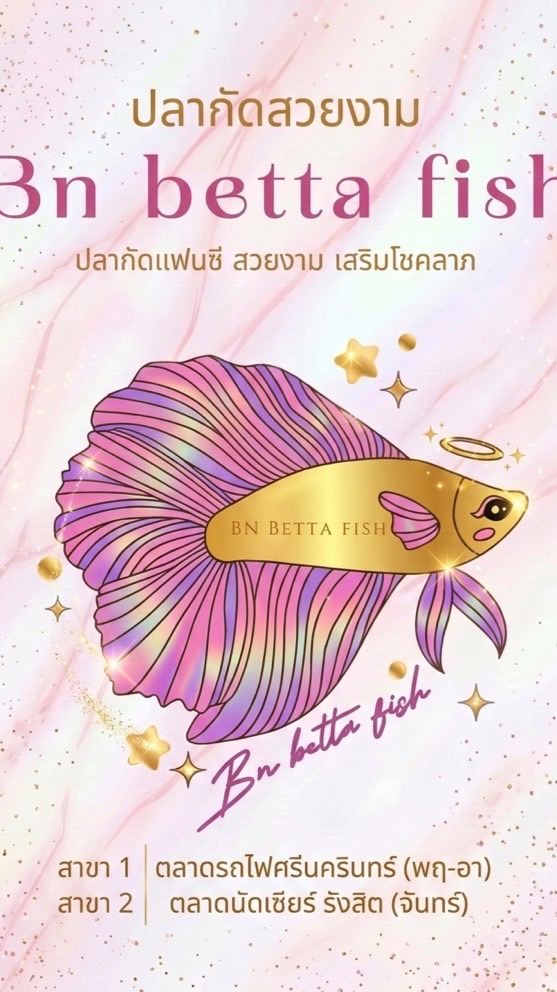 Bn betta fish