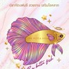 Bn betta fish