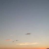六星集按摩會館公怖欄