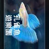 孔雀魚 遊樂園
