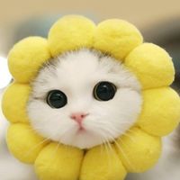 ♡ตัวแทนขายทริค/ไบโอ และอื่นๆ 𝐵𝑦 𝐺𝑟𝑎𝑐𝑒 ♡