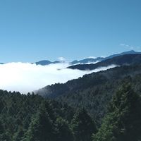海關事件討論