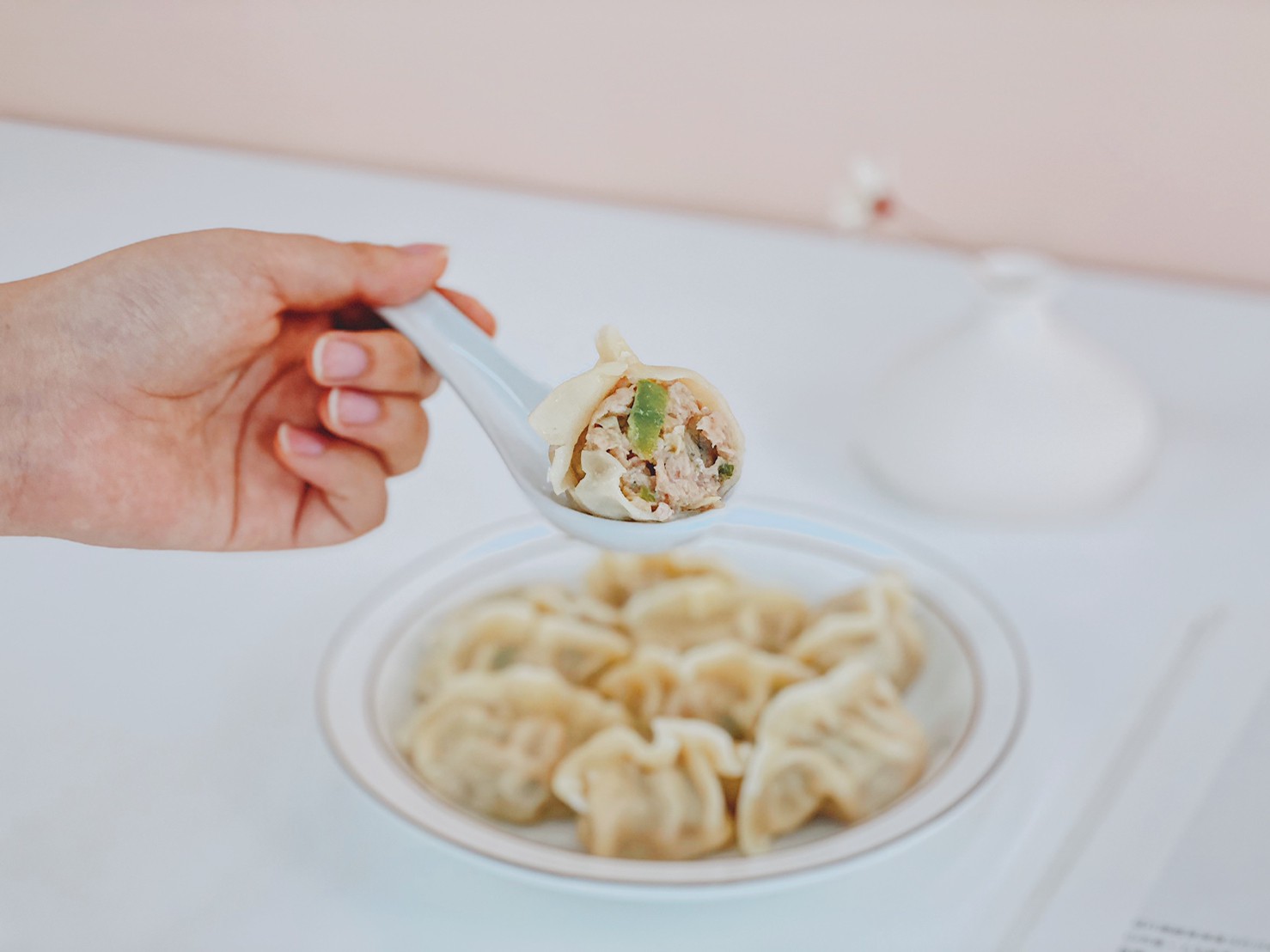 絲蔬豚腱水餃(280g/包)