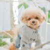 💕トイプードル💕🐩シニアになってもかわいい我がコ💕