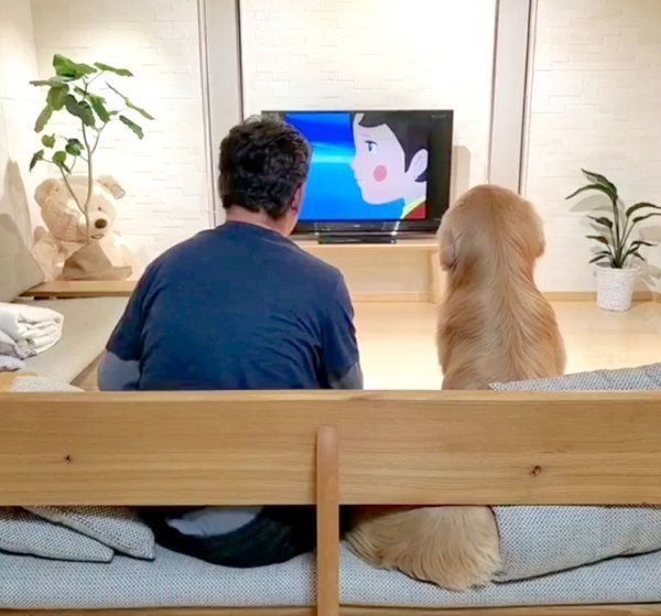 まるで新婚夫婦 アニメを鑑賞する犬とパパの後ろ姿に反響