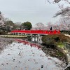 【新】さいたま市岩槻区が好きな人集まれ！